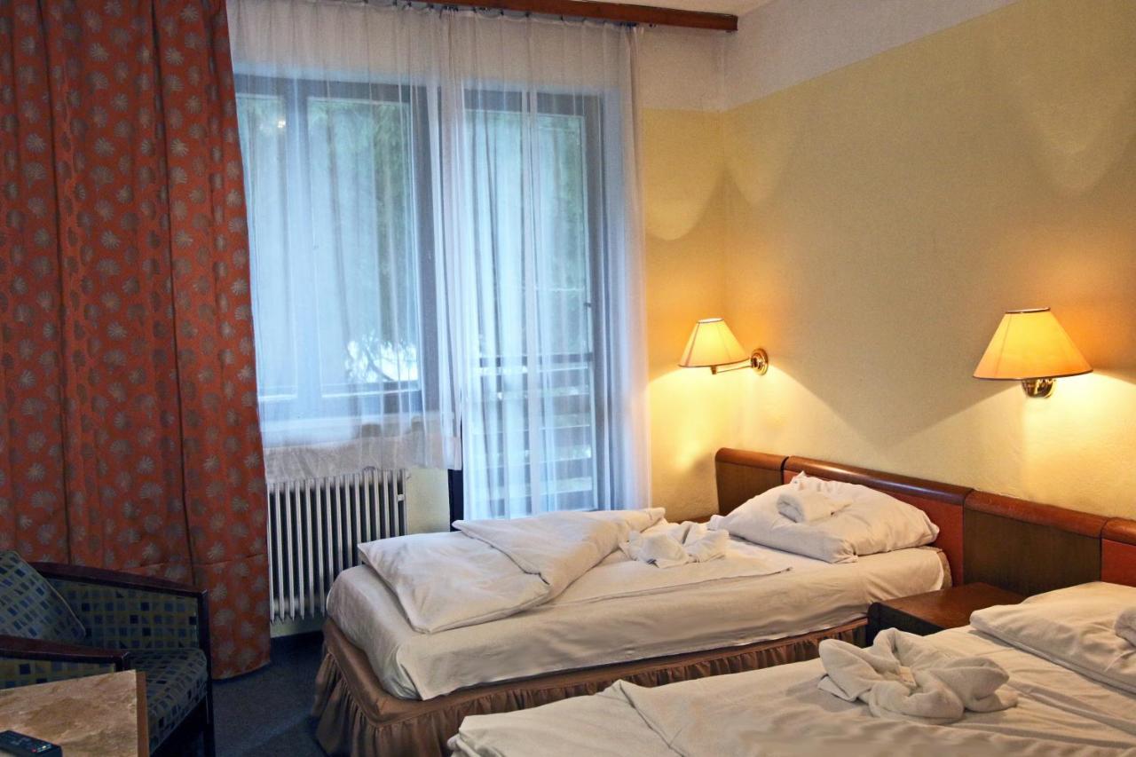 Hotel Medlov Depandance Fryšava 外观 照片